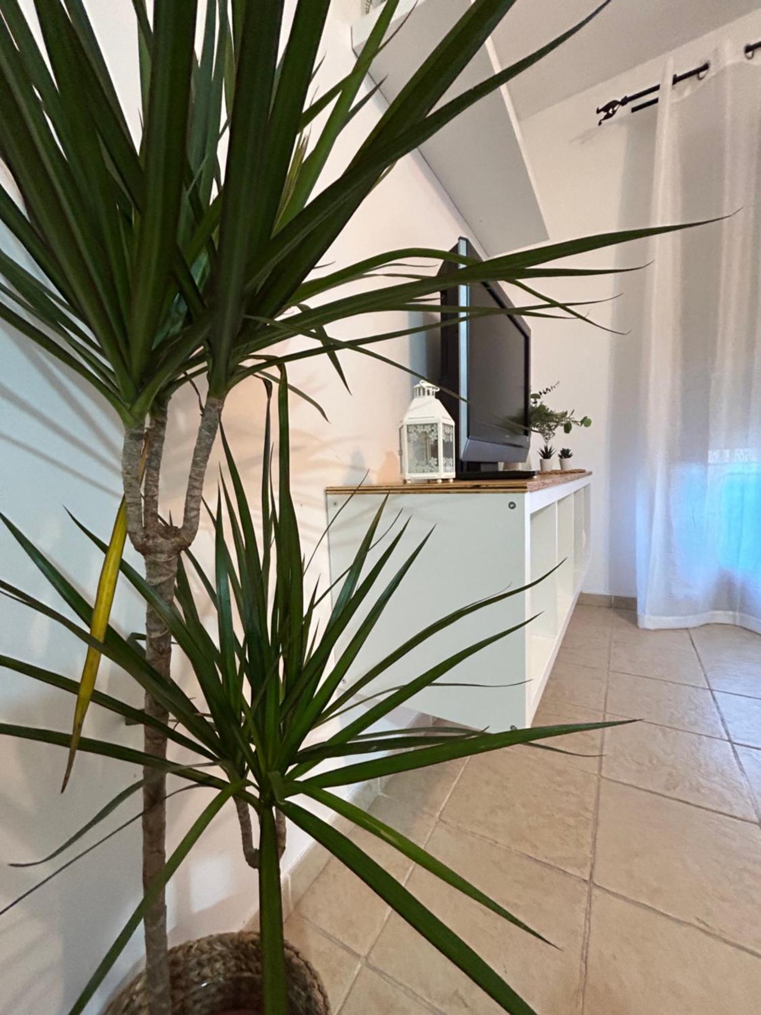 Rual Amanecer Apartment Ronda Ngoại thất bức ảnh